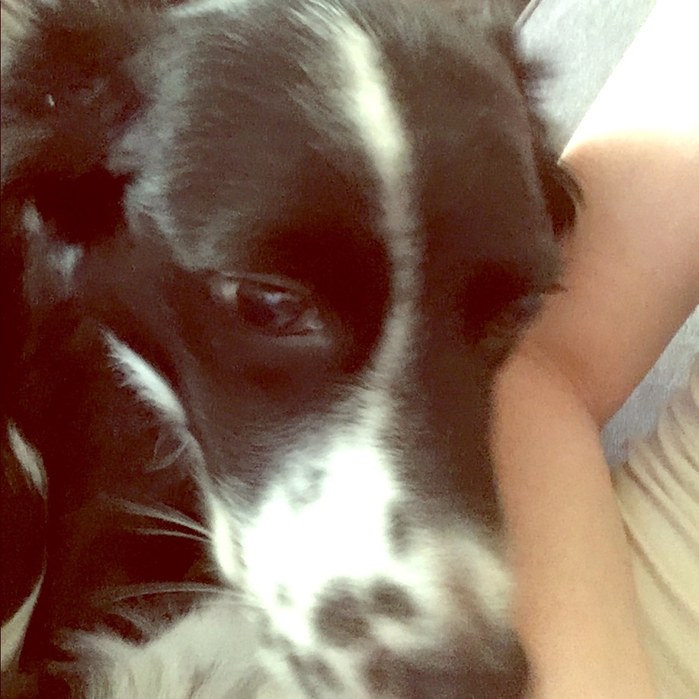 Everything BUY ONE GET ONE!!