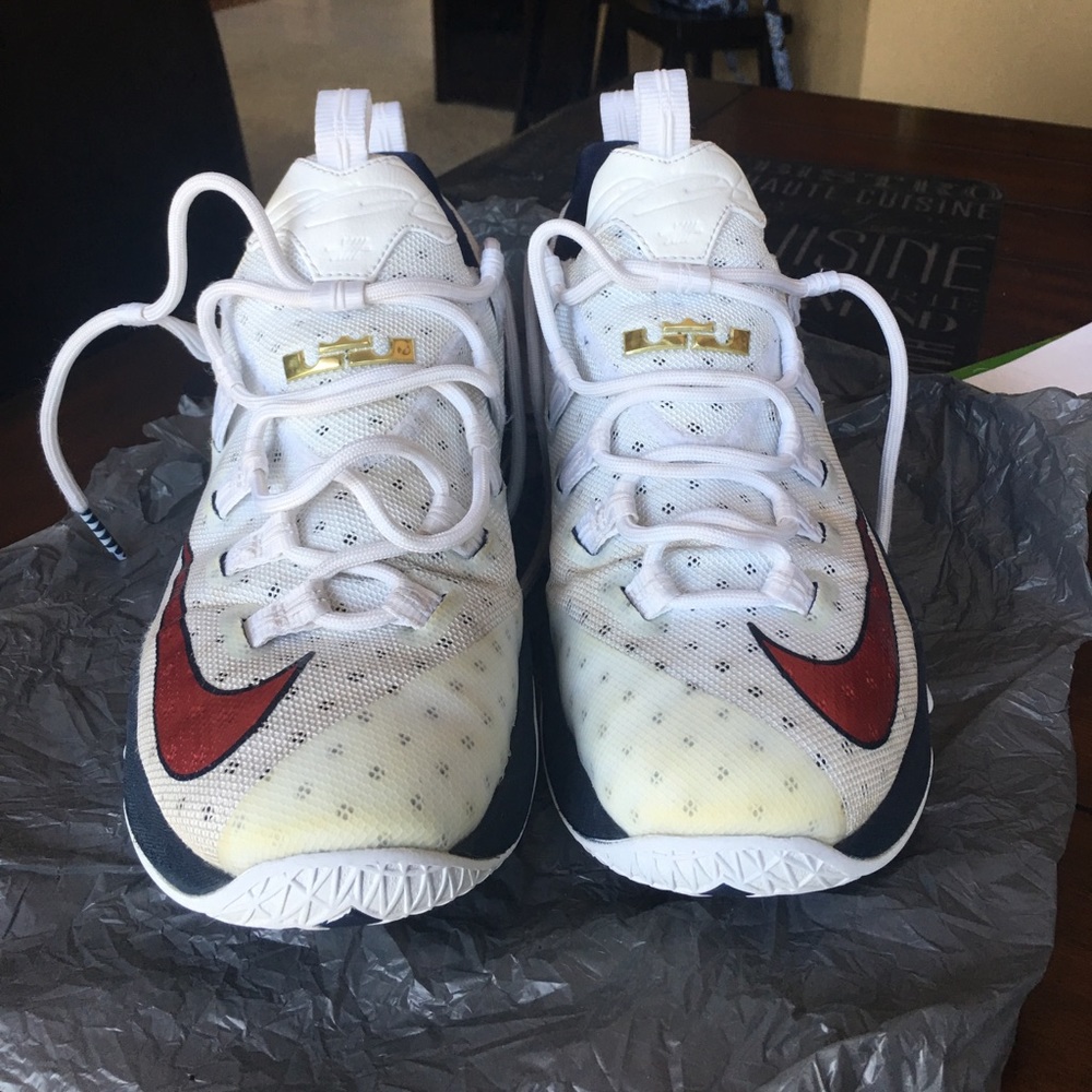 Lebron shoes