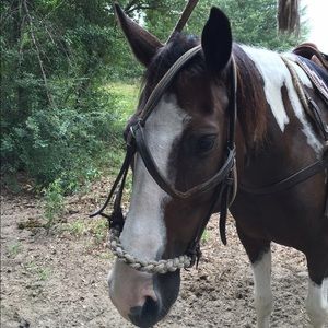 Meet your Posher, Michele