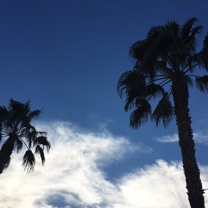 Meet your Posher, Kendall