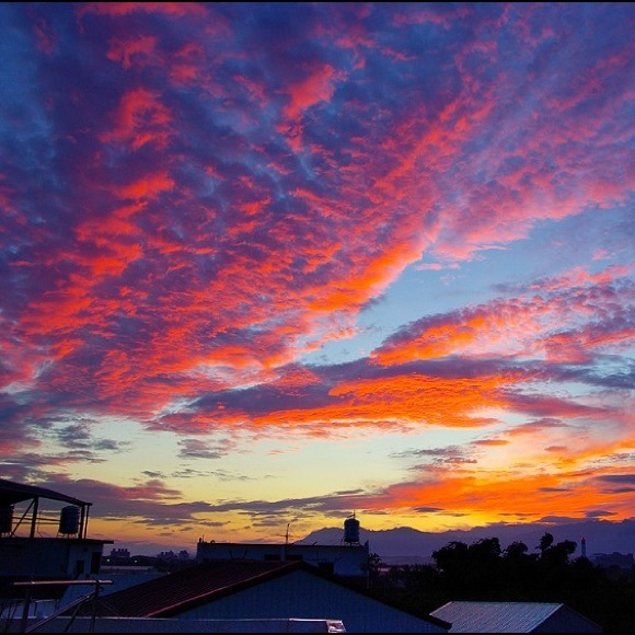 Meet your Posher, Brynn - Picture 2 of 8