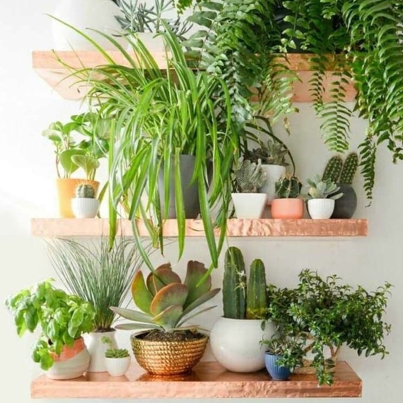 Meet your Posher, Brynn - Picture 5 of 8