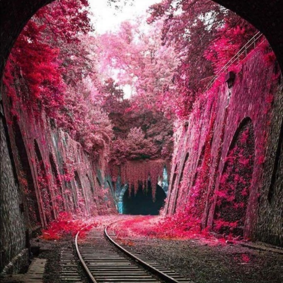 Meet your Posher, Brynn - Picture 8 of 8