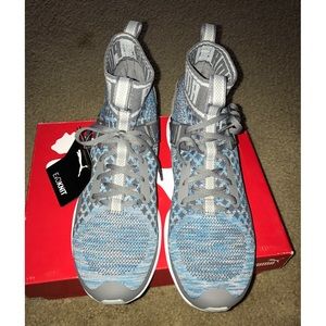 Blue and Gray Puma's