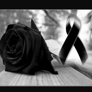 Meet your Posher, Arnold