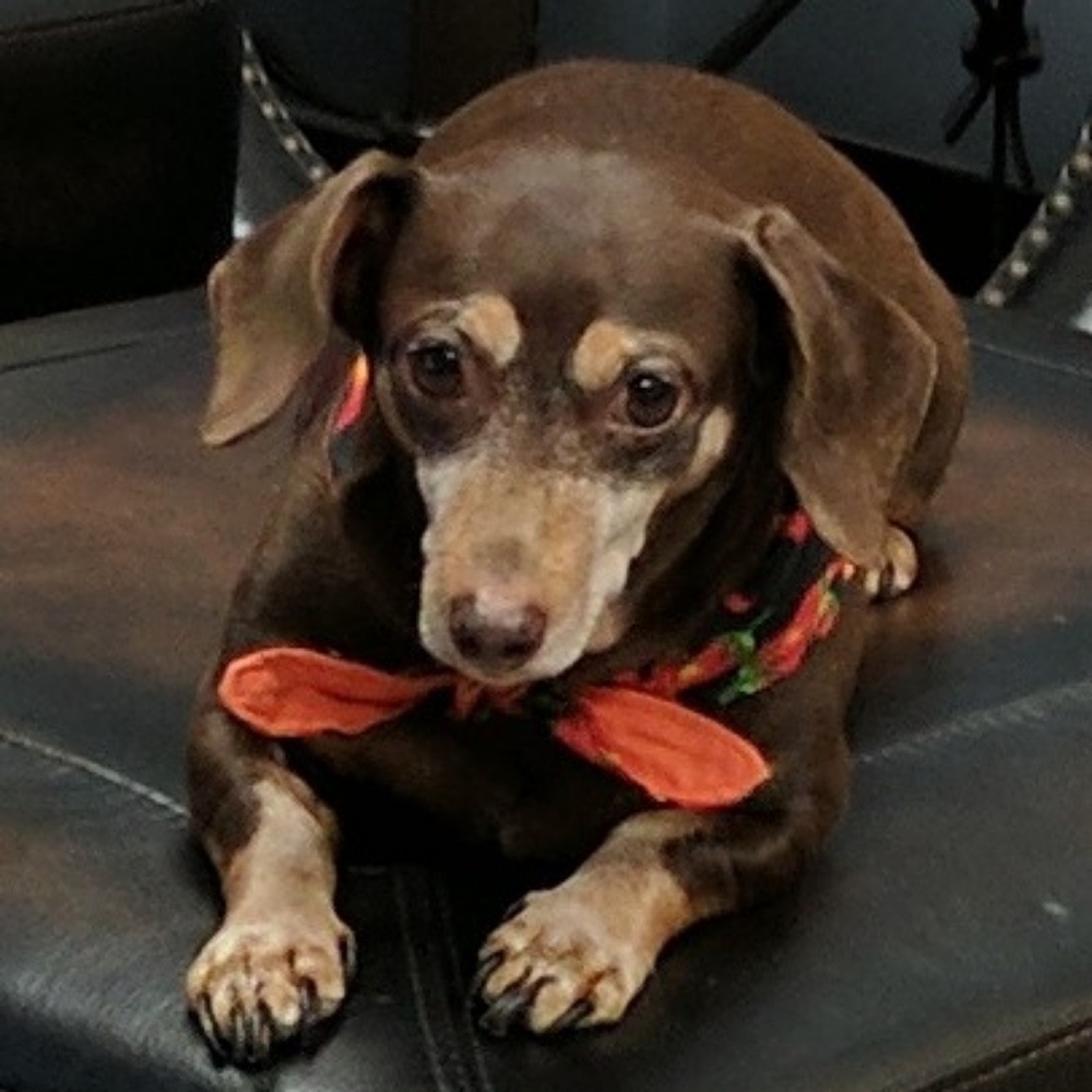 Meet your Posher, Kim