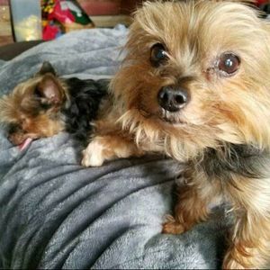 Meet your Posher, Ali