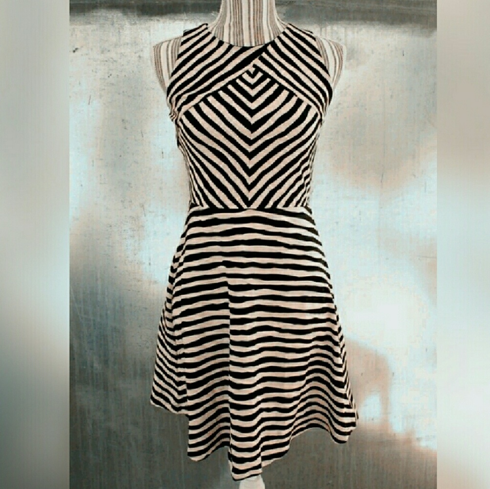 Black & White Textured Skater Dress