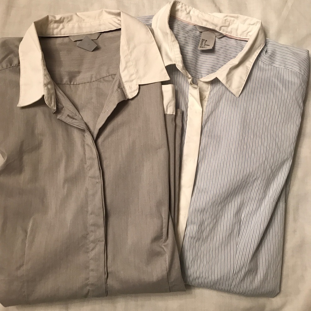 Button down shirts
