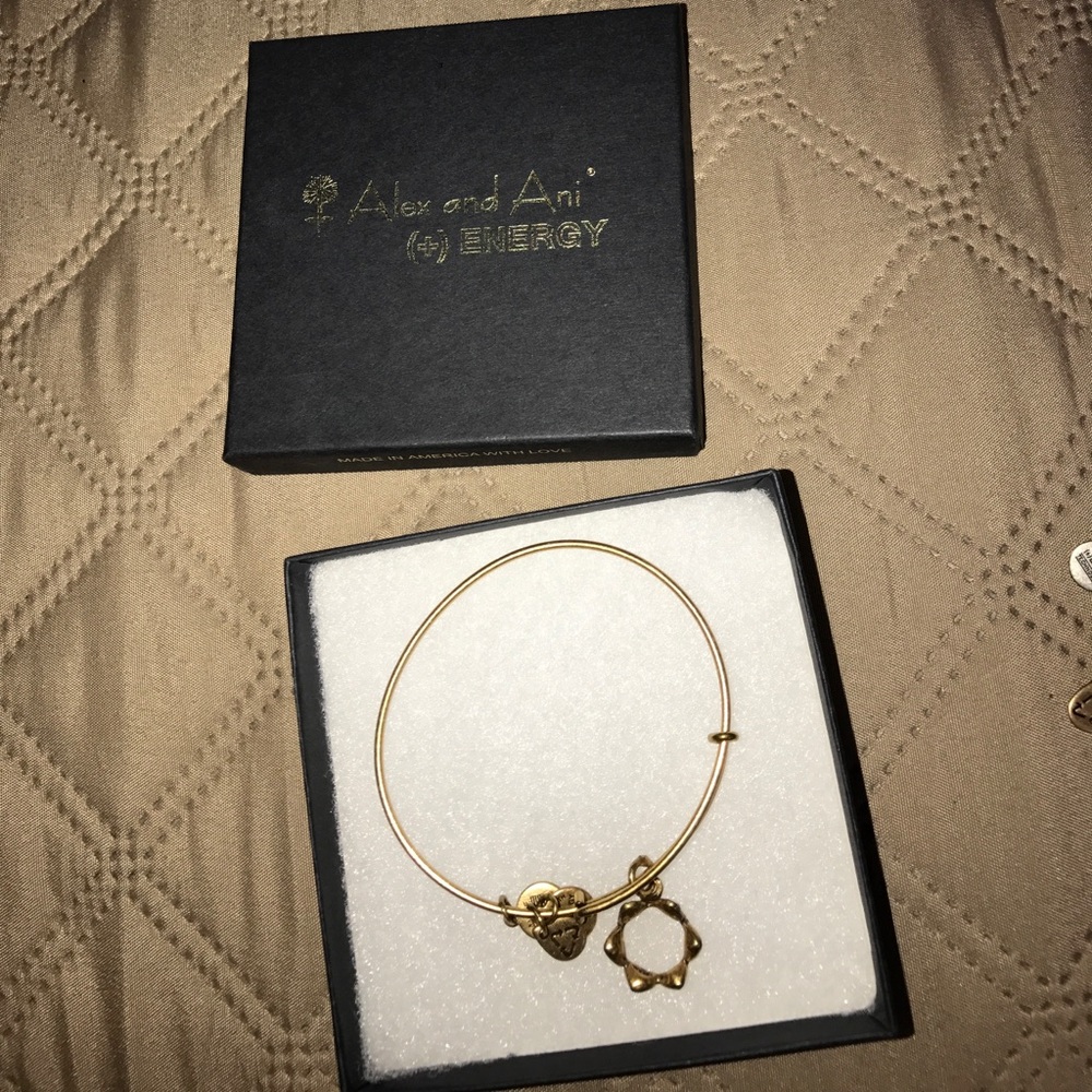 Alex and Ani Princess Crown Bangle