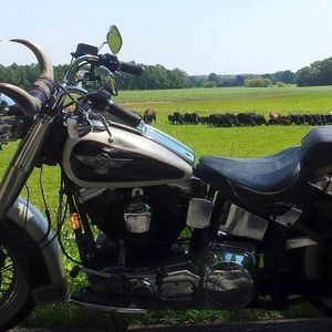 Meet your Posher, Scott