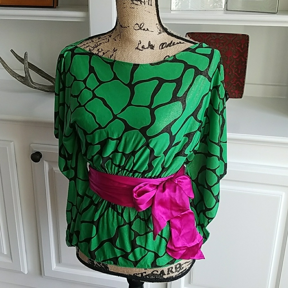 Stunning bat sleeve green top