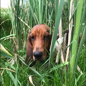 Meet your Posher, Andrea