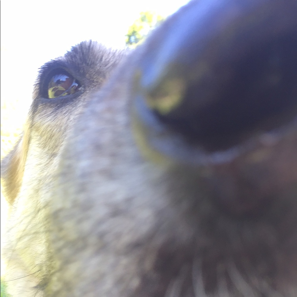 Meet your Posher, Jenn