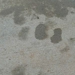 Meet your Posher, Adam