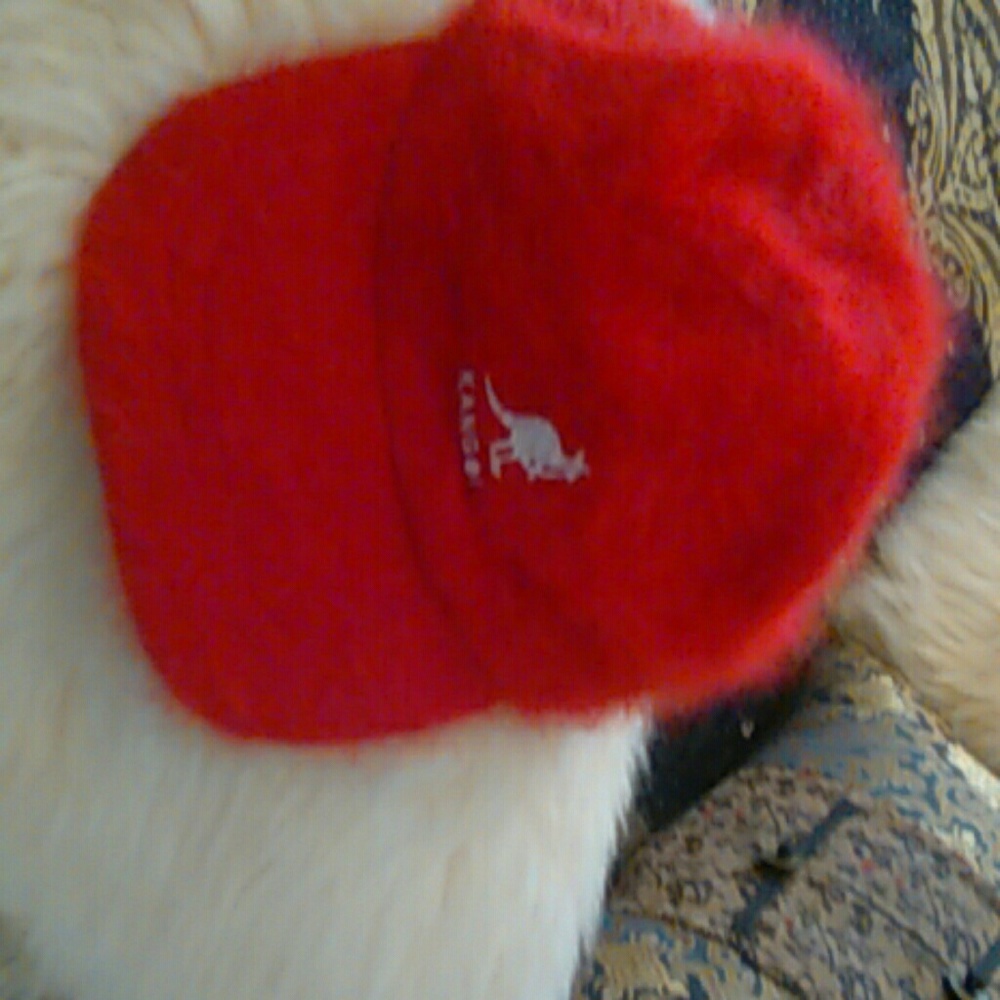 Hat - Picture 2 of 4