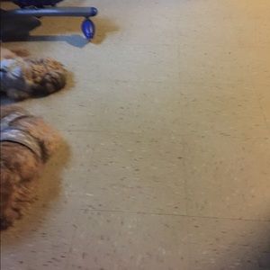 Meet your Posher, Conica