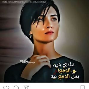 Meet your Posher, Mina