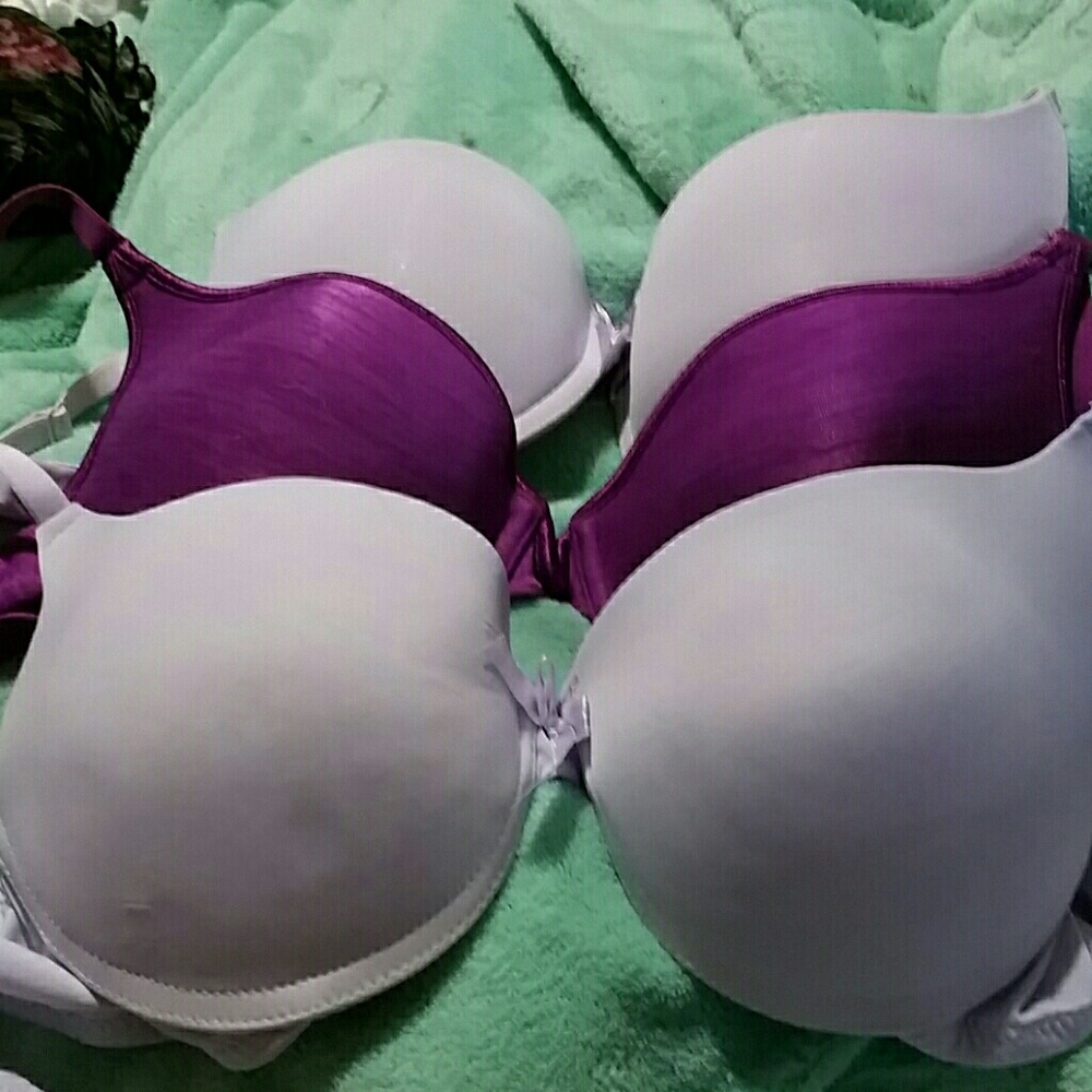 A lot of three unused padded push-up and under-
