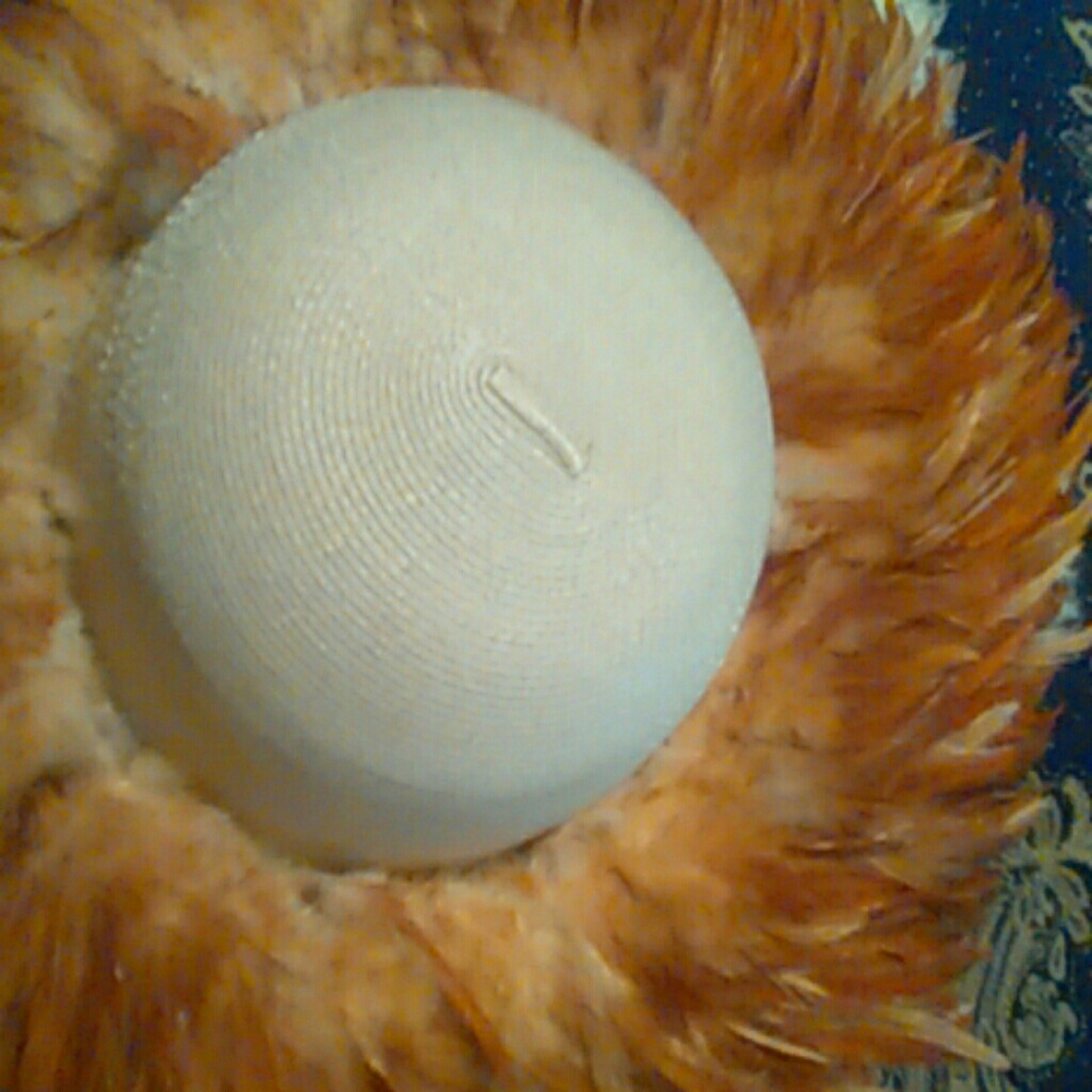Hat - Picture 3 of 4