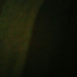 Meet your Posher, Shay