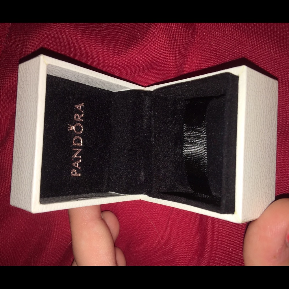 Pandora Charm Box