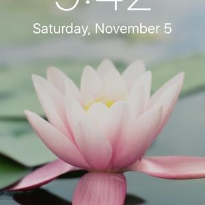 Meet your Posher, Viola