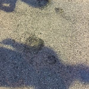 Meet your Posher, Fahiym