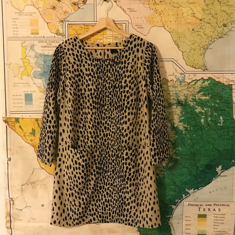 Mod Cheetah Print Dress