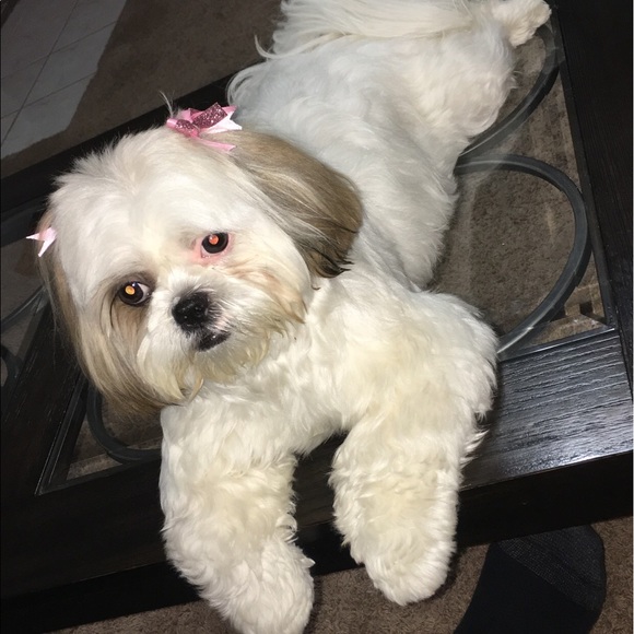 Meet your Posher, Alejandra - Picture 1 of 1