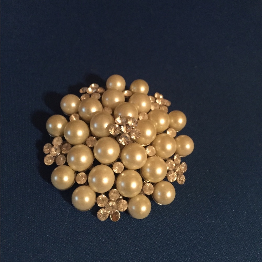 Beautiful Dress Brooch