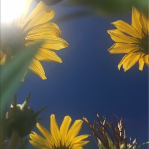 Meet your Posher, Kara