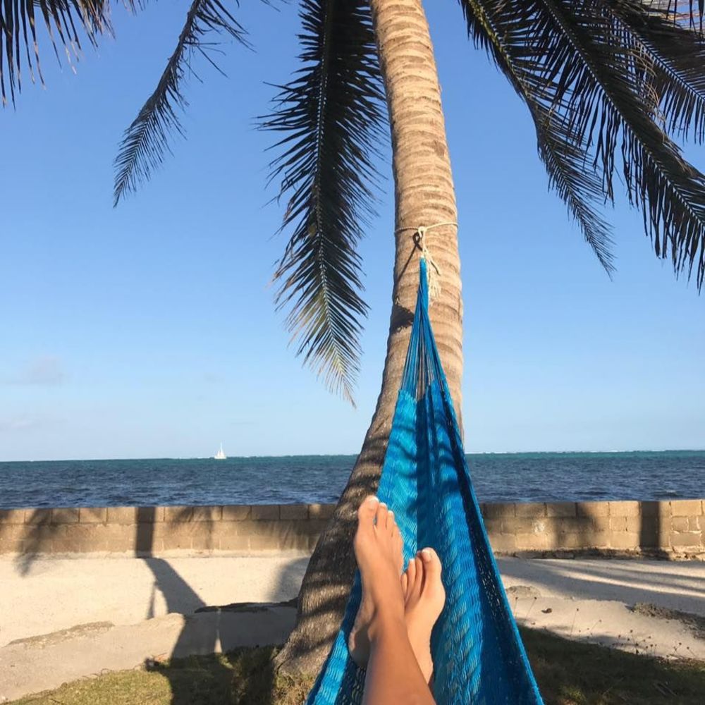 Meet your Posher, Patty