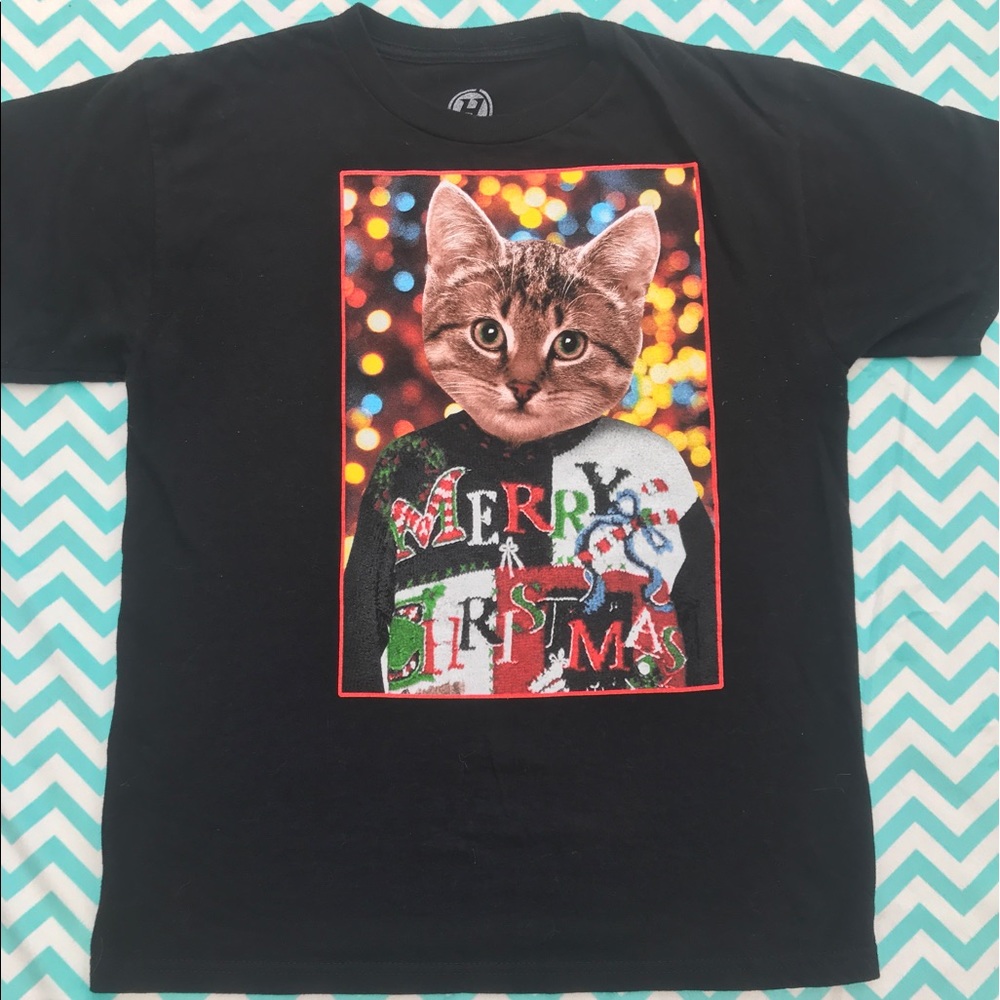 Calling all Cat Lovers 🐱