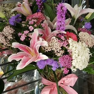 Meet your Posher, Ann