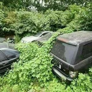 Meet your Posher, Joel