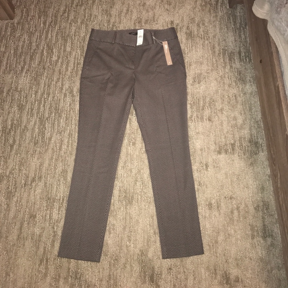 Brand New LOFT Dress Pants