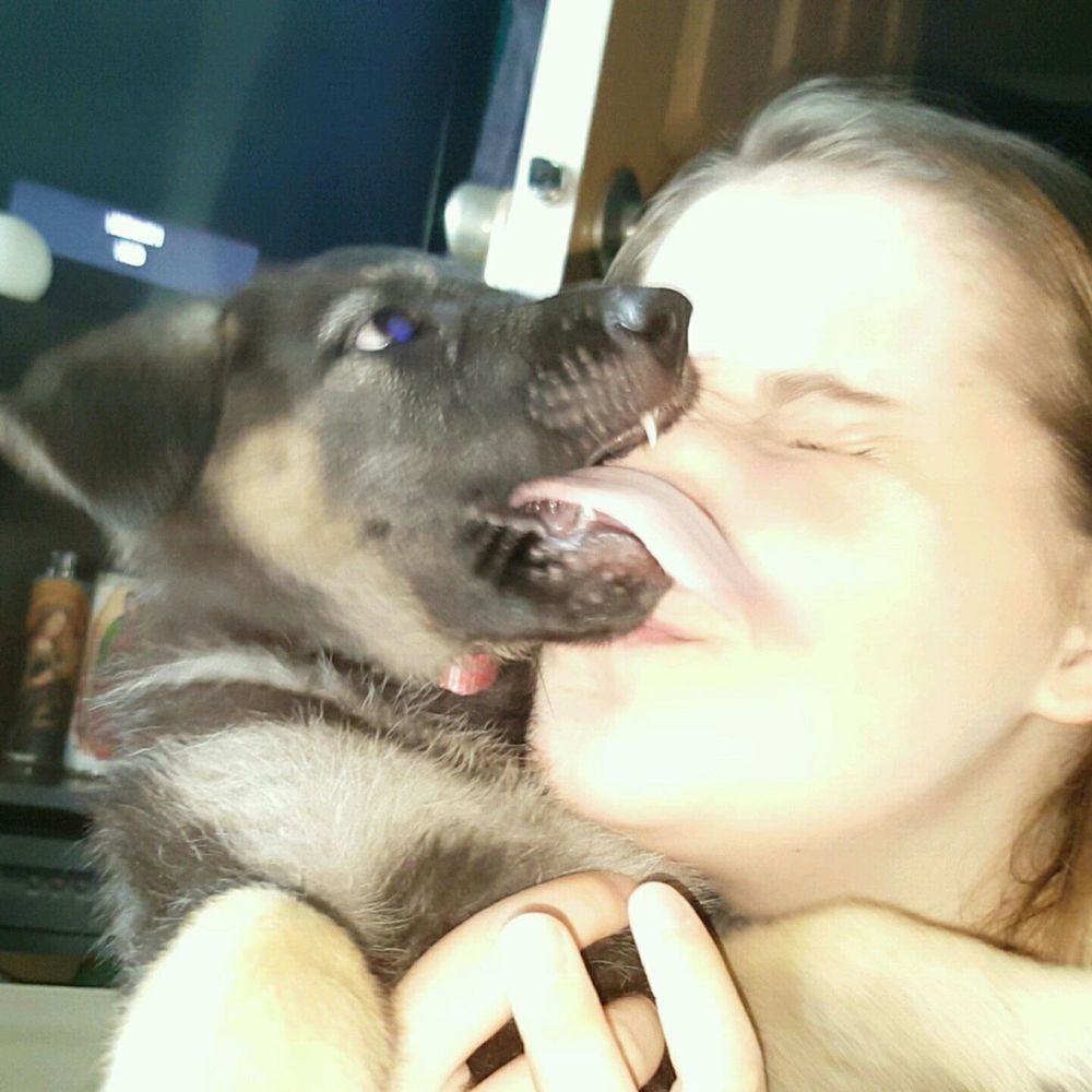 Meet your Posher, Paige