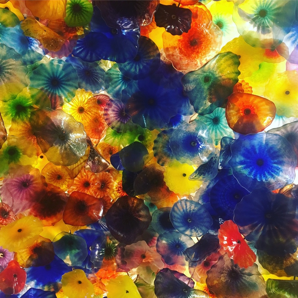 Meet your Posher, Asya