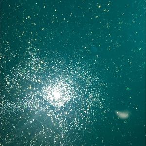 Meet your Posher, Mallory