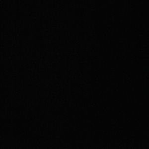 Meet your Posher, Shelby