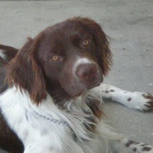 Meet your Posher, Aida