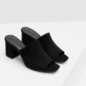 Zara Mule Sandals