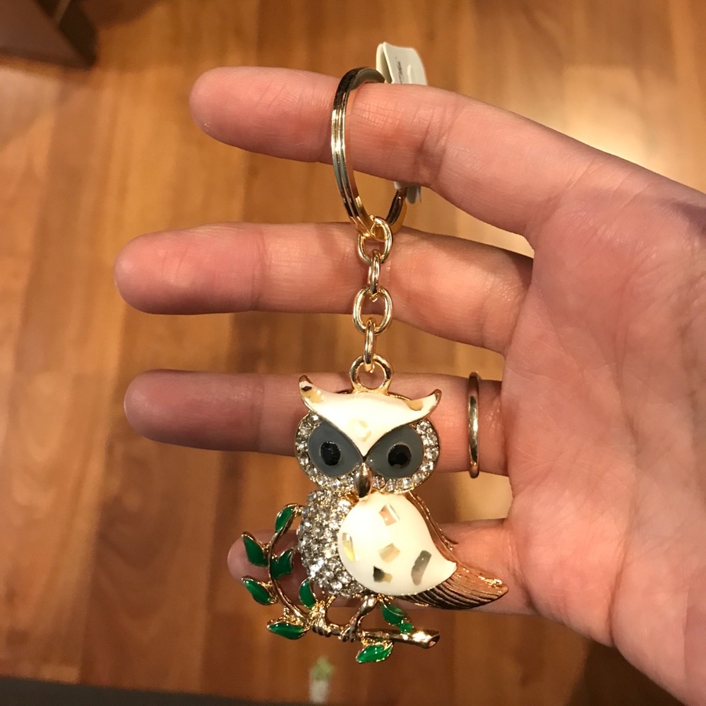 Cute owl key chain!!