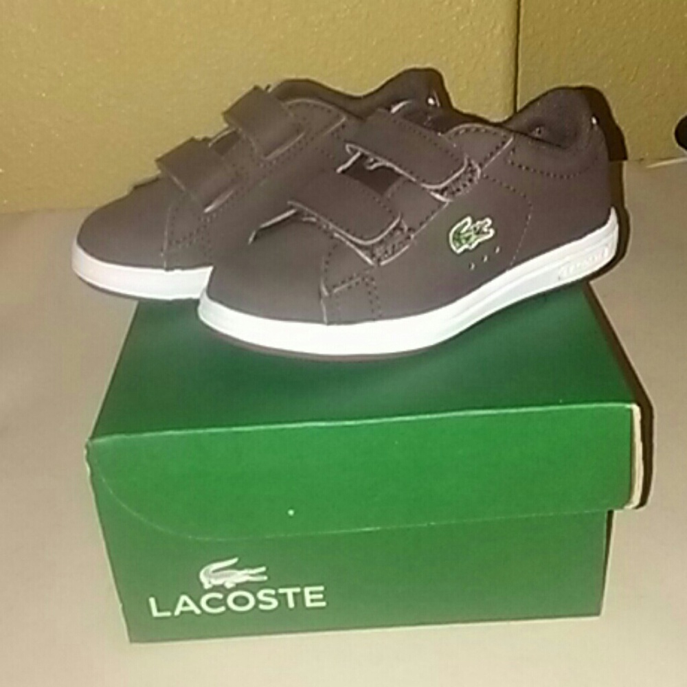 NWT Baby lacoste shoes