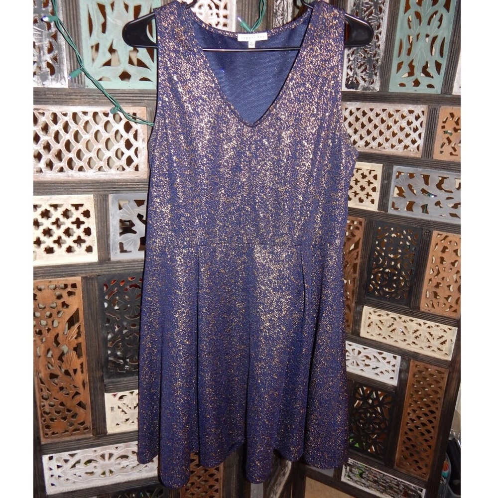 Navy and Gold Sleeveless Dress