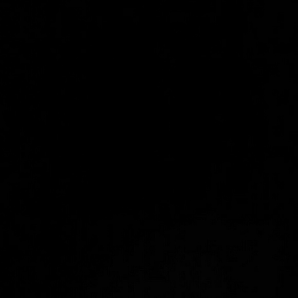 Meet your Posher, Torey - Picture 1 of 1