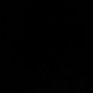 Meet your Posher, Torey