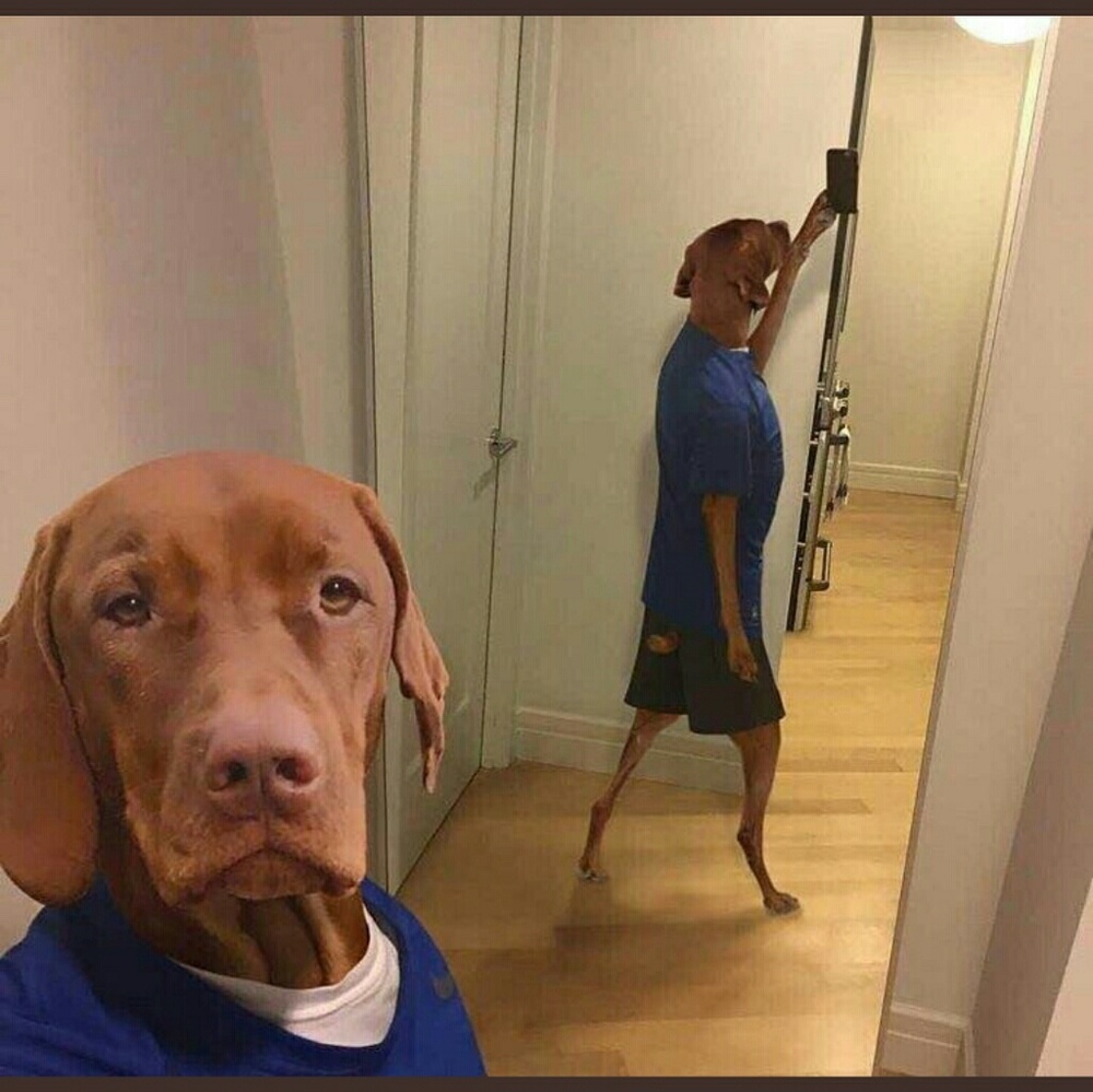 Meet your Posher, Xavier