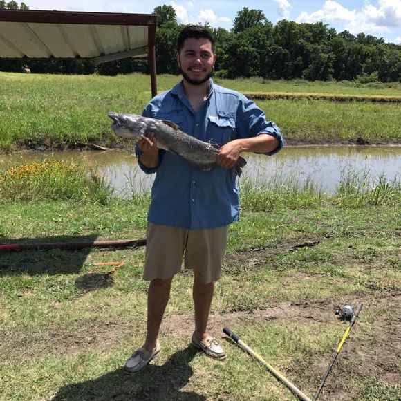 Meet your Posher, Carlos - Picture 1 of 1